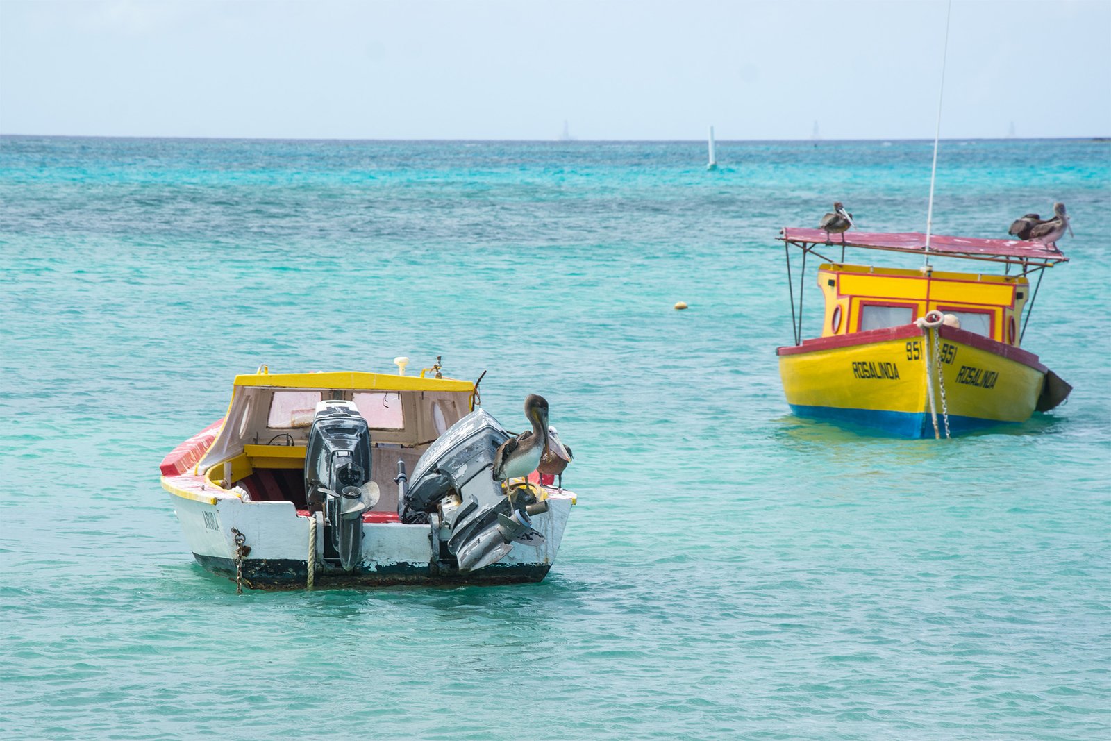 Aruba Addicts adventure